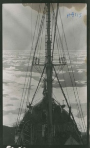 Image of S.S. Thetis meeting the ice pack